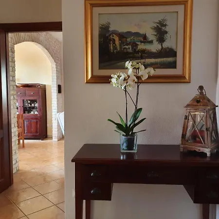 Apartman Spilly's House